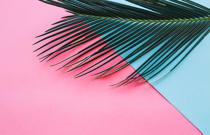Blog 2